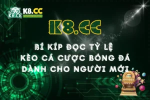 Bí Kíp Đọc Tỷ Lệ Kèo Bóng Đá Cực Dễ Hiểu Dành Cho Người Mới